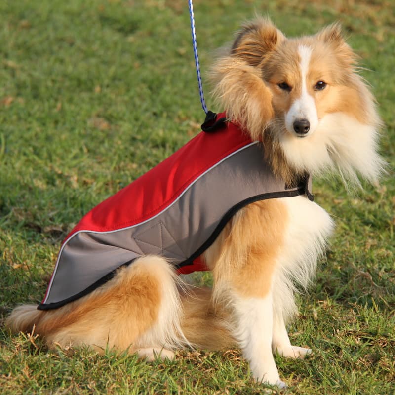 Шлейка жилетка для собак «Raincoat Cape» - H14